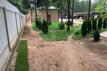 Ландшафтная компания
